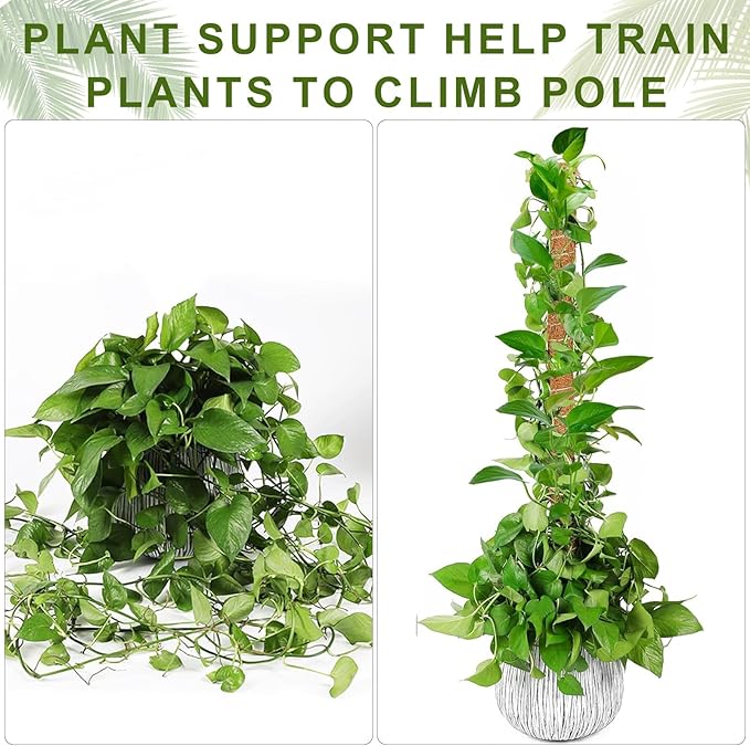 Moss Pole Monstera Plant Support, 2 Ft, 2 Pack Sustainable Coir Bendable Moss Pole Stakes, Plant Sticks for Climbing Vines, Pothos, Potted, Comes with Velcro Tape and Hemp Rope