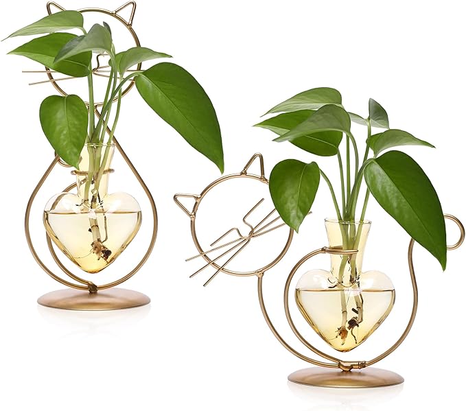 Plant Terrarium Plants Propagation Station Cat Lover Gifts for Women Home Office Decor Cat Desk Accessories