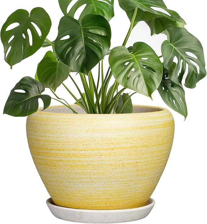 Ceramic Plant Pots - 8 Inch Planter with Drainage Hole and Tray, Decorative Pots for Plants Indoor Outdoor, Round Modern Plant Pot, Apartment Decor, Gifts for Men Women, Textured Yellow