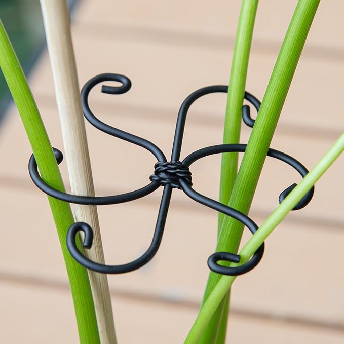 Yohsnor Monstera Plant Stem Support Set - 2.75x2.75 inches 5 Durable Fishbone Design Stabilizers for Indoor Climbing Plants - Perfect Leaf Holders & Gifts for Plant Lovers
