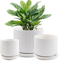 Ceramic-Flower-Pots-Sets-with-Saucer, 5/6/8 inch Small Planters for Indoor Plants with Drainage Hole, White Vertical Stripe Plant Pots for Home Decor, Outdoor Garden Pot For Succulent Cactus Herb