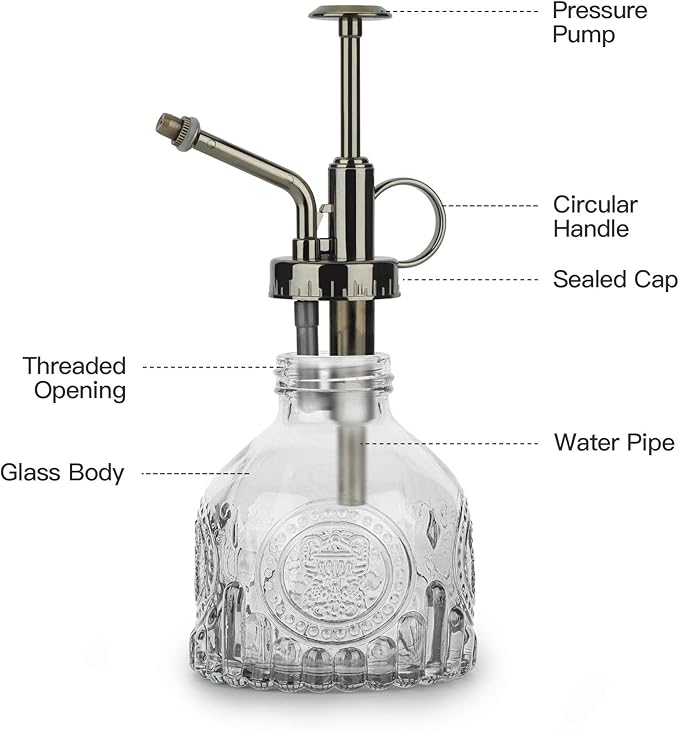T4U Glass Plant Mister 200ML, Vintage Spray Bottle with Top Pump Fine Mist Garden Flower Sprayer Small Decorative Spritzer Watering Can Gift for Indoor Outdoor Succulent House Plant (Clear)