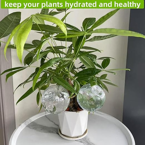 2 Pack Self Watering Globes for Indoor & Outdoor Plants – 17oz Automatic Water Bulbs for Indoor Plants–Slow Release Control Water Dripper for Plants – Plant Watering Devices While Away