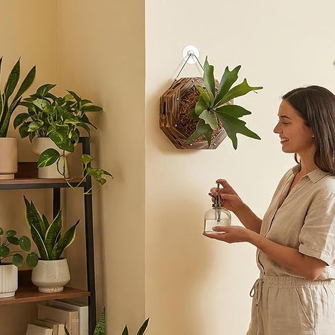 Staghorn Fern Mounting Kit - Wood Wall Planter for Orchids,Herbs & Indoor Plants | Hanging Plant Holder,Basket & Stand for Wall Decor(10.43inch)