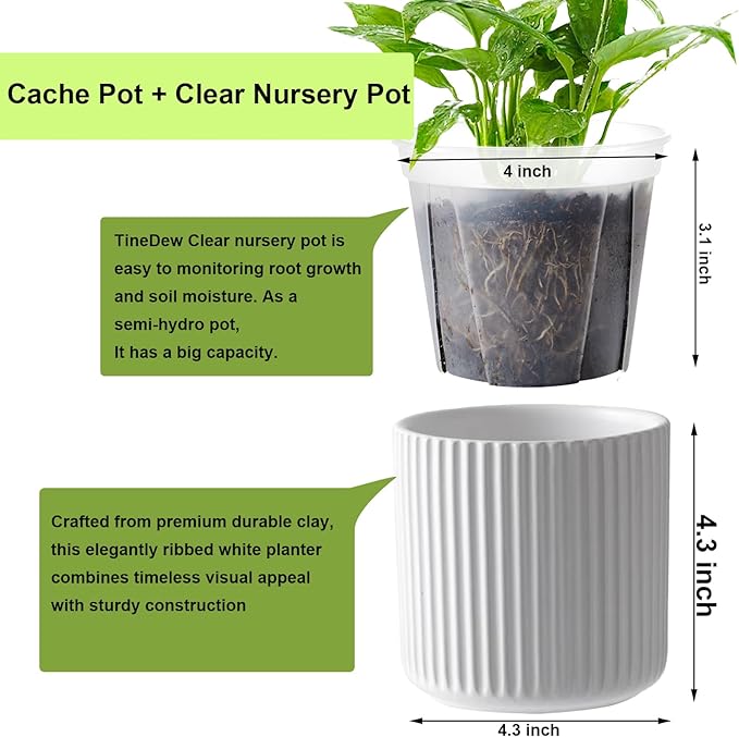 2 Pack of 4in Ceramic Cachepot with 4 inch Clear nusery Pot - self Watering Indoor Planter with Drainage for Root Visibility,semi Hydro pots for repotting Succulent,White