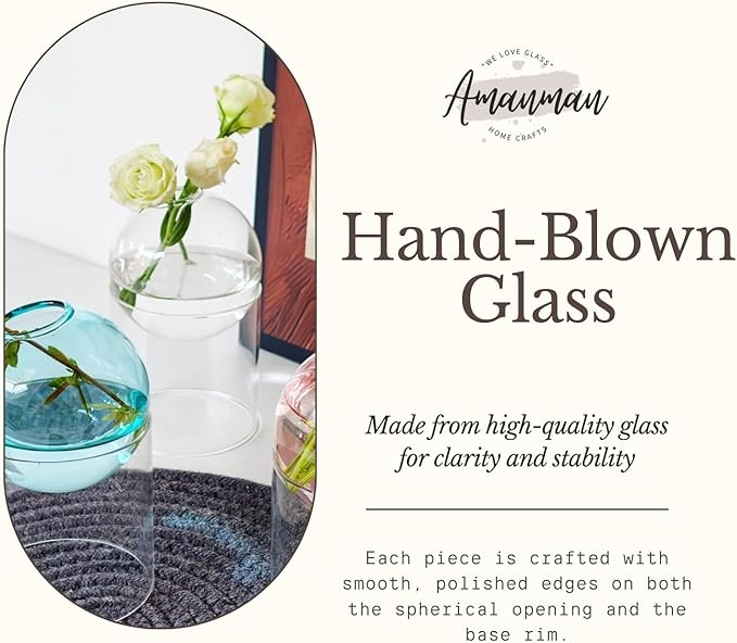 3-Pack Glass Hydroponics Vase Set | Unique Plant Propagation Station with Removable Base, Cute Flower Vase & Mini Terrarium for Plants