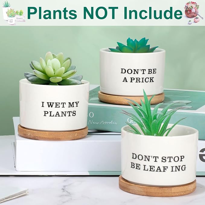 Potchen 6 Pcs Funny Succulent Pots Set Best Teacher Gifts Cute Ceramic Succulent Planters with Bamboo Tray Employee Appreciation Gifts for Women, Nurses, Birthday