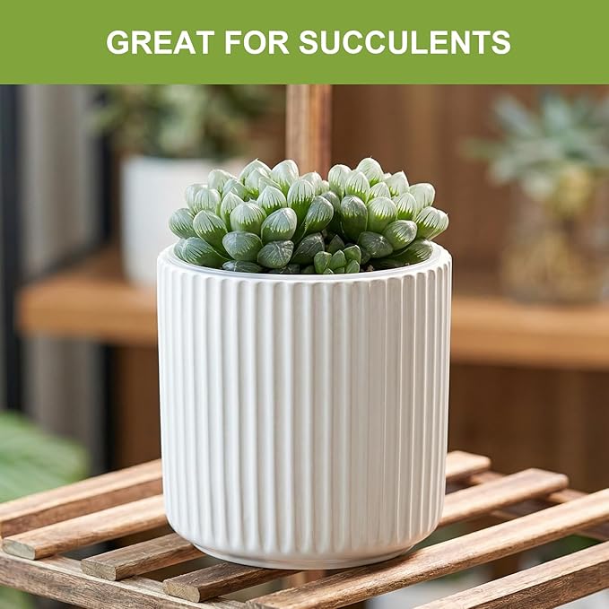 2 Pack of 4in Ceramic Cachepot with 4 inch Clear nusery Pot - self Watering Indoor Planter with Drainage for Root Visibility,semi Hydro pots for repotting Succulent,White
