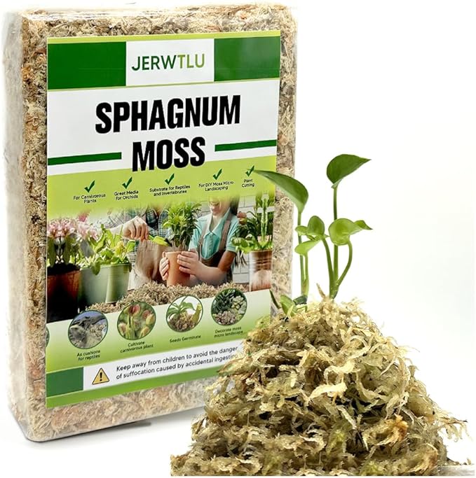 Natural Long Fiber Sphagnum Moss 42QT for Orchid Potting Mix, and Moss Pole for Plants Indoor. Ideal for Propagating Plants, Maintaining Humidity for Reptiles, Isopods in Paludarium, Aquascape (12 OZ)