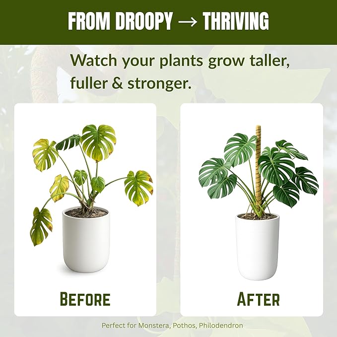 Moss Pole for Monstera, 2 Pack 48” Coco Coir Plant Support Pole for Climbing Plants with Flexible 5mm Aluminum Core, Plant Stake for Pothos & Philodendron, Monstera Support – Velcro & Jute Rope
