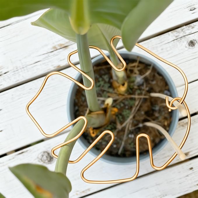 STARVAST 10PCS Durable Monstera Plant Stem Support Stake, Plant Support Kit for Indoor Botanicals, Cactus Stabilizers, and Turtle Shell Climbers - Ideal for Plant Enthusiasts(Gold)
