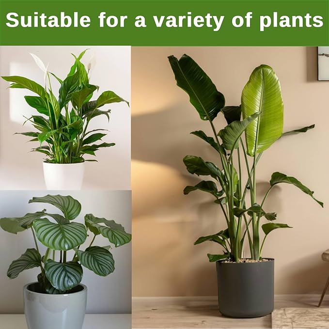 12 Pack Stackable Monstera Plant Support Stakes, Climbing Plants Support Monstera Trellis for Indoor Outdoor, Alternative to Moss Pole (39inch/12 Pack)