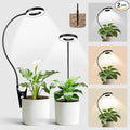 LORDEM Indoor Plant Grow Lights with 6/8/12/16H Auto Timer, 3 Spectrum Modes, Full Spectrum LED, Adjustable Height, for Small Plants, 2Pack Black
