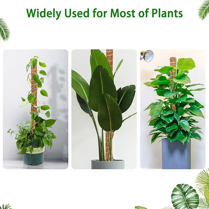3 Pack Moss Pole, 35.4-Inch Moss Poles for Plants Monstera,Bendable Plant Support Stakes for Climbing Plants Indoor, Garden Trellis Plant Stick for Potted Plants, Pothos Philodendron