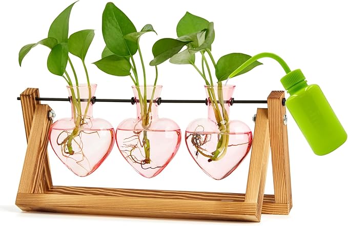 XXXFLOWER Glass Plant Mister Spray Bottle+ Plant Terrarium Propagation Stations