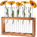 Tigvio Desktop Glass Plant Propagation Station with 5 Test Tubes in Wooden Stand - Hydroponic Plants Cutting Office Home Decoration and Garden Decor Terrarium (5 Tubes)