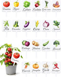20Pcs Garden Signs for Vegetables 20 Styles Garden Markers for Vegetables Outdoor Garden Labels Markers Waterproof Reusable Plant Stakes Tags with Names for Vegetable Indoor Outdoor Decoration