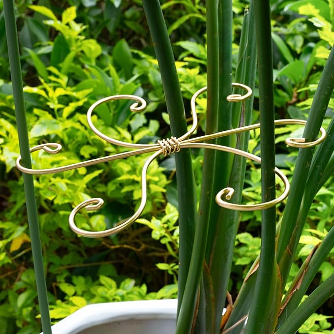 Yohsnor Monstera Plant Stem Support Set of 5 - Durable 7.5in Indoor Stabilizers for Fishbone Cactus - Enhances Growth & Home Decor - Ideal Plant Care Solution