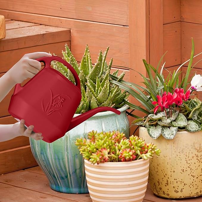 Hand Plastic Watering Can - for Indoor and Outdoor Home Garden Plants - with Long Spout - Wine Red - 1/2 Gallon