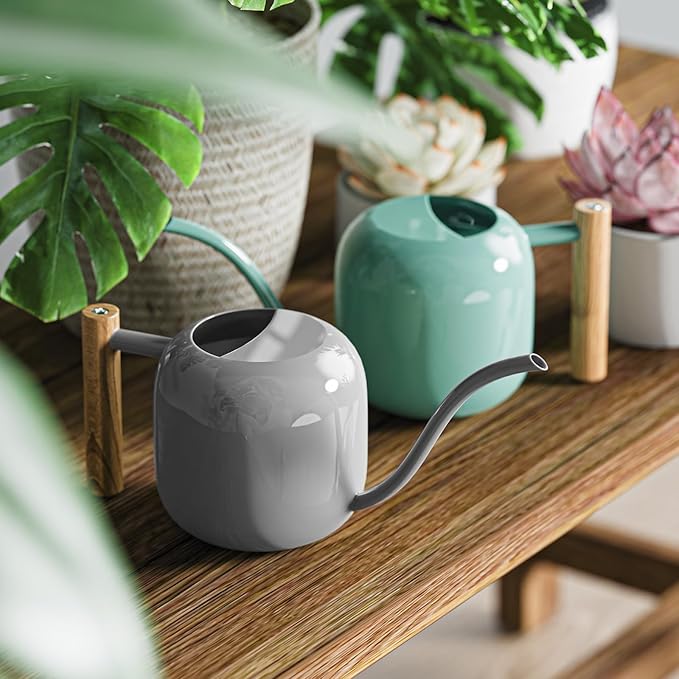 Green Moon Watering Can Indoor Plants 1.2L/41oz Elephant Gray Water Can Indoor Metal Small Water Can Pot with Long Spout for House Bonsai Plants Garden Flower Decorative
