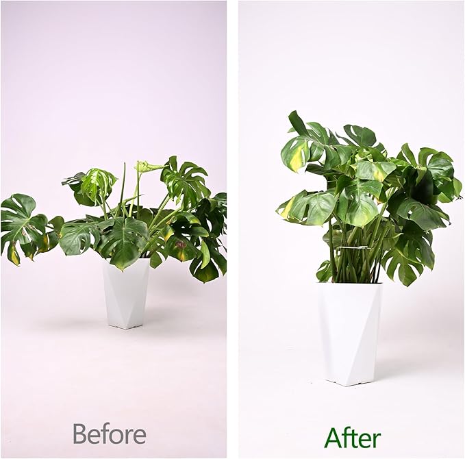 Yohsnor 6.5 * 6.5in Monstera Plant Support Hook 5PCS - Durable Stabilizer & Leaf Holder for Indoor Plants, Flexible Installation & Soft Grip Design - Perfect for Fishbone Cactus and Other Houseplants
