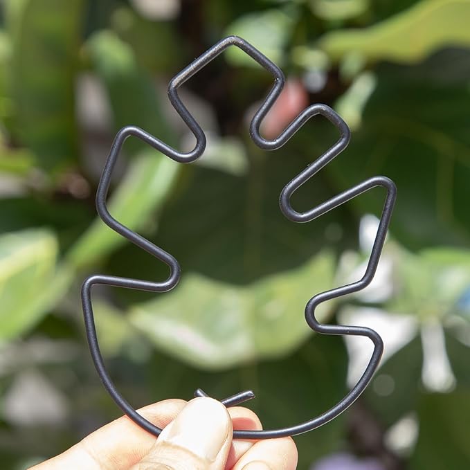 Yohsnor Monstera Plant Stem Support Set - 5pcs 4.13x2.95 inches Durable Supports for Indoor Climbing Plants - Easy-to-Use Stabilizers for Healthy Growth and Elegant Garden Decor