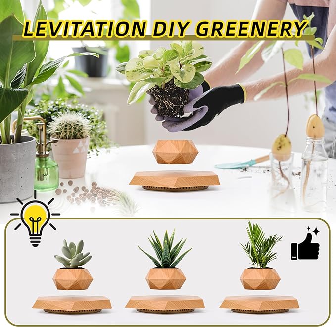 Levitating Plant Pot, Magnetic Levitation Flower Pot Suspension Floating Plant Succulents, Air Bonsai Potted Plant for Home Decoration, Living Room, Office, Desk (Wood)