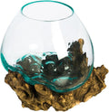 Cape Craftsmen 10" Hand-Blown Blue Tinted Bubble Glass On Natural Teak Driftwood Terrarium Kit | Home Décor Indoor Planter with Stand | Pot for Succulent and Plants