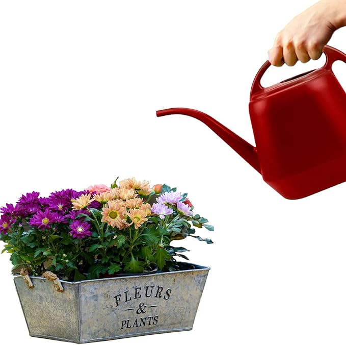Fasmov Plastic Watering Can, Burnt Red, 1-Gallon