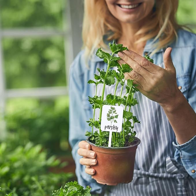 FYSUIMU 20Pcs Acrylic Plant Label Signs 20 Styles Garden Herb Markers Plant Stake Tags White Waterproof Tags with Herb Names for Nursery Indoor Outdoor Garden Decor