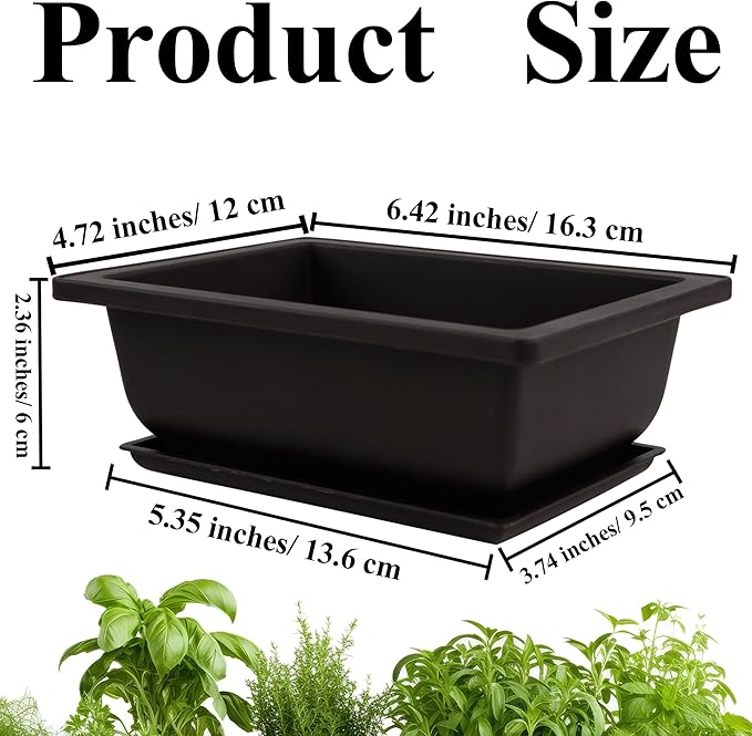 C CRYSTAL LEMON Bonsai Training Pots with Drip Trays, 3-Pack, Compact Plastic Planters with Drainage Holes & Mesh Screen, for Bonsai, Succulents & Cactus (Small)