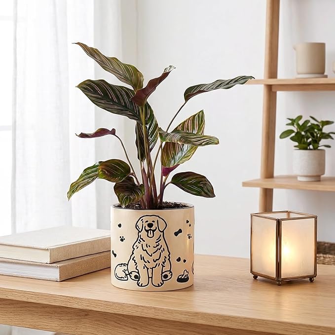STHIE Ceramic Flower Pots with Drainage Holes, 5 inch Ceramic pots for Plants, Cute Round Flower Planters for Snake Plant, Hand-Painted Garden Pots (Sitting Dog)