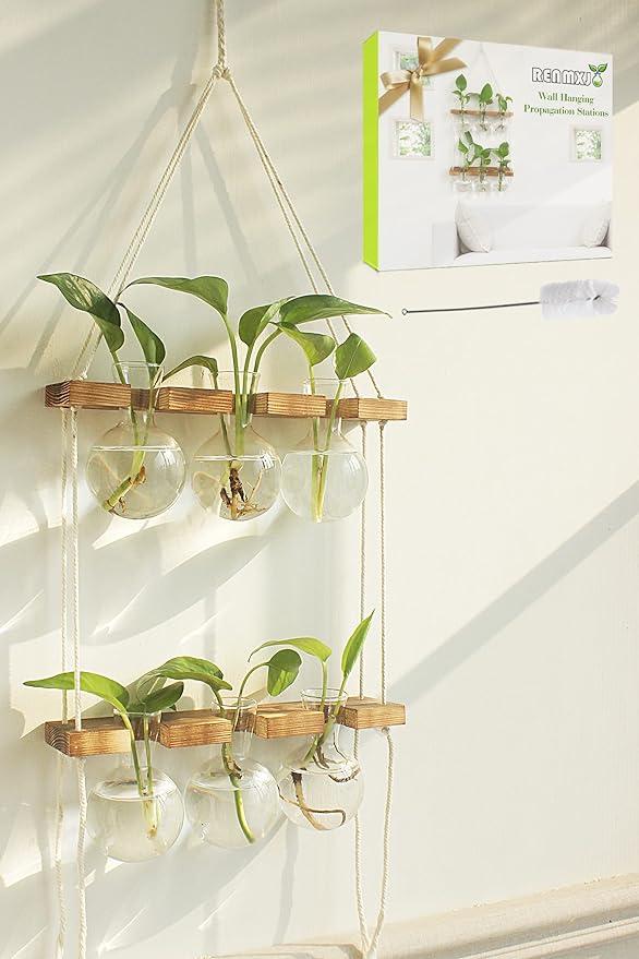 Renmxj Plant Propagation Station Wall Hanging, Plant Terrarium with 2 Tiered Wooden Stand for Hydroponics Plants, Unique Gardening Gifts for Women Mom Plants Lovers - 6 Bulb Glass Vases