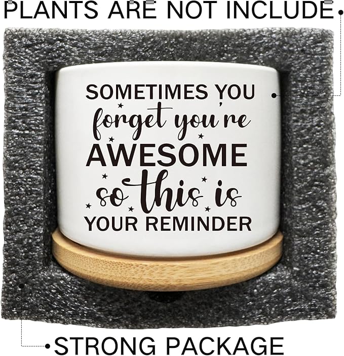 Succulent Cactus Cute Planter Pots with Bamboo Tray, Office Kitchen Home Windowsill Indoor Decor, Gift for Friends Mom Women Coworkers Teachers Plant Lovers