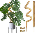 Joyhalo Bendable Moss Pole for Plants, 2 Pack 24 Inch Monstera Plant Support Stakes, Moss Poles for Climbing Plants with Jute Rope, Coco Coir Pole Indoor Plant