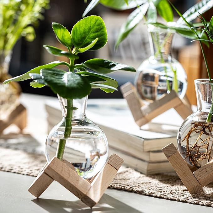 Propagation Stations, Propagation vases with Wooden Stand, Small Tabletop Glass Bulb Vases for Hydroponics Plant Propagation Station Home Office Decoration, Gift for Women Plant Lovers (4)