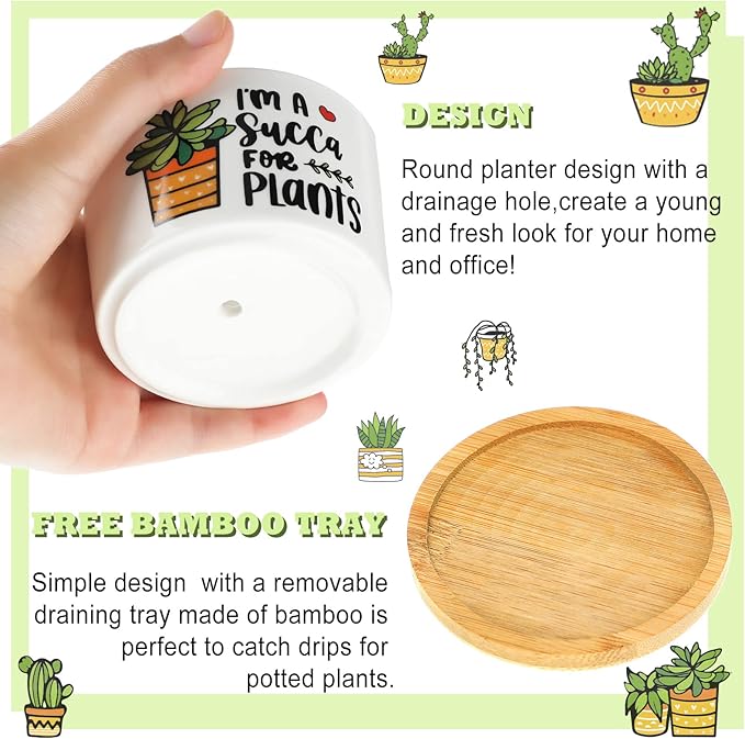 6 Pcs Funny Succulent Plant Pot Cute Christmas Teacher Gifts Box Set Plant Pot with Bamboo Tray Ceramic Funny Planter Succulent Accessories for Women Teacher Christmas Birthday Gifts (Cute Style)
