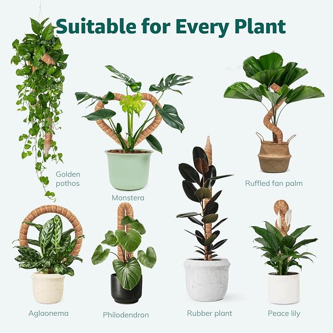 2-Pack 60in Large Moss Pole for Monstera, Bendable & Sturdy Pothos Plant Climber Support, Philodendron, Fishbone Cactus & Indoor Tropical Houseplants, Made for Coco Coir