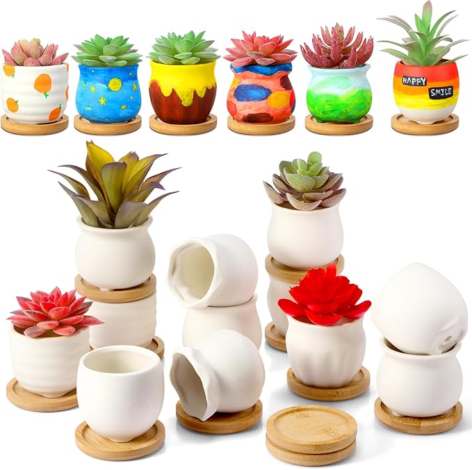 Remerry 6 Pcs Mini Succulent Pots with Bamboo Tray 2.5 Inch White Ceramic Pots Color Your Own DIY Small Planters Containers for Flower Cactus with Drainage Hole for Plant Lover
