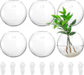 Yarlung 6 Pack Wall Hanging Planters Terrarium, 4.7 Inch Glass Oblate Globe Plants Containers, Wall Mount Clear Flower Vase for Propagating Hydroponics Plants, Air Plants (Plants Not Included)