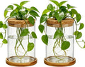 Glass Plant Propagation Stations, 2PCS Hydroponic Vases with Wooden Lid and Bamboo Stand for Plant Growing, Home & Office Decor