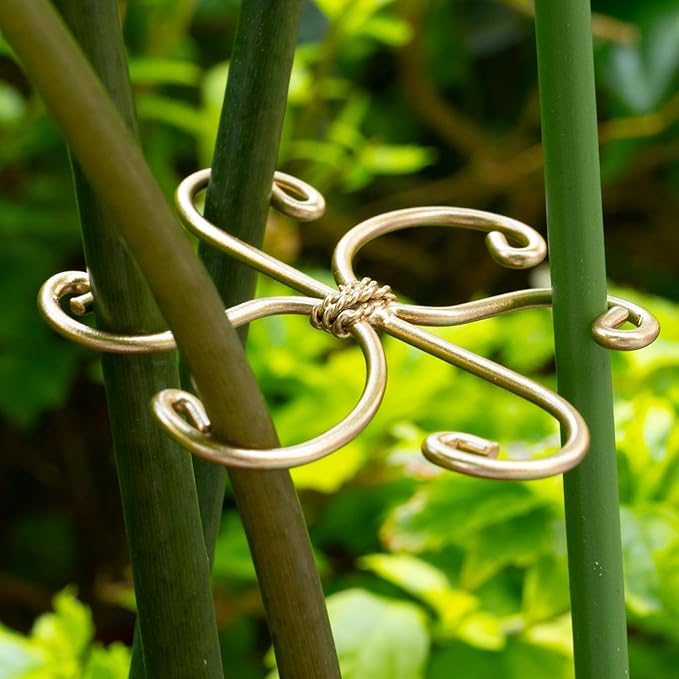 Yohsnor Monstera Plant Stem Support Set - 5 Durable Stabilizers (2.75"x2.75") for Indoor Plants, Leaf Holder & Cactus Stake - Keep Monstera Healthy & Upright - Ideal Gift for Plant Lovers