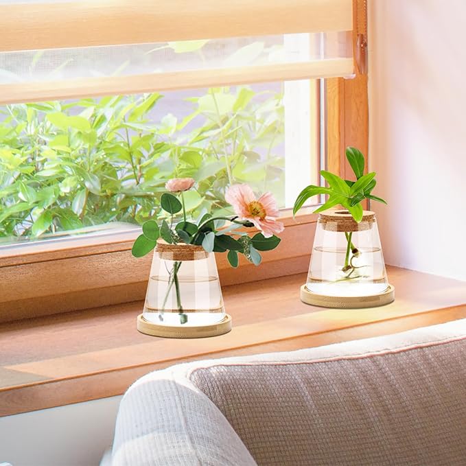 2 Pcs Plants Propagation Station, Separated Desktop Glass Planter Station Hydroponics Plant Terrarium with Wooden Tray & Lid Glass Vase Propagating Jars Gifts for Women Mom Plant Lovers