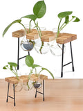Window Garden Plant Terrarium Glass Vase with Stand - Set of 3 - Real Wood Frame with Transparent Bulb-Shaped Glass - Propagation Stations for Indoor Plants - Wooden Finish