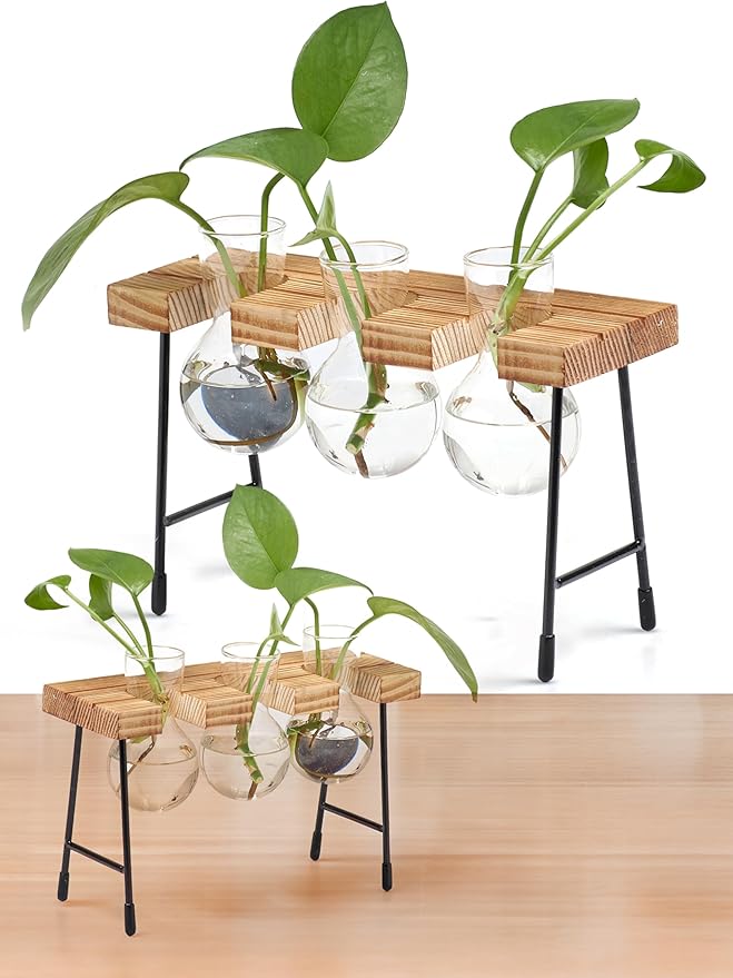 Window Garden Plant Terrarium Glass Vase with Stand - Set of 3 - Real Wood Frame with Transparent Bulb-Shaped Glass - Propagation Stations for Indoor Plants - Wooden Finish