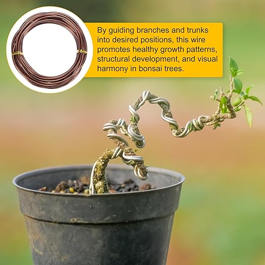 M METERXITY 3mm Bonsai Training Wire, 16.4 Feet Total Anodized Aluminum Bonsai Wires for Bonsai Tree Shaping/Branches Fixing/Trunk Holding/DIY Crafting [Bronze]