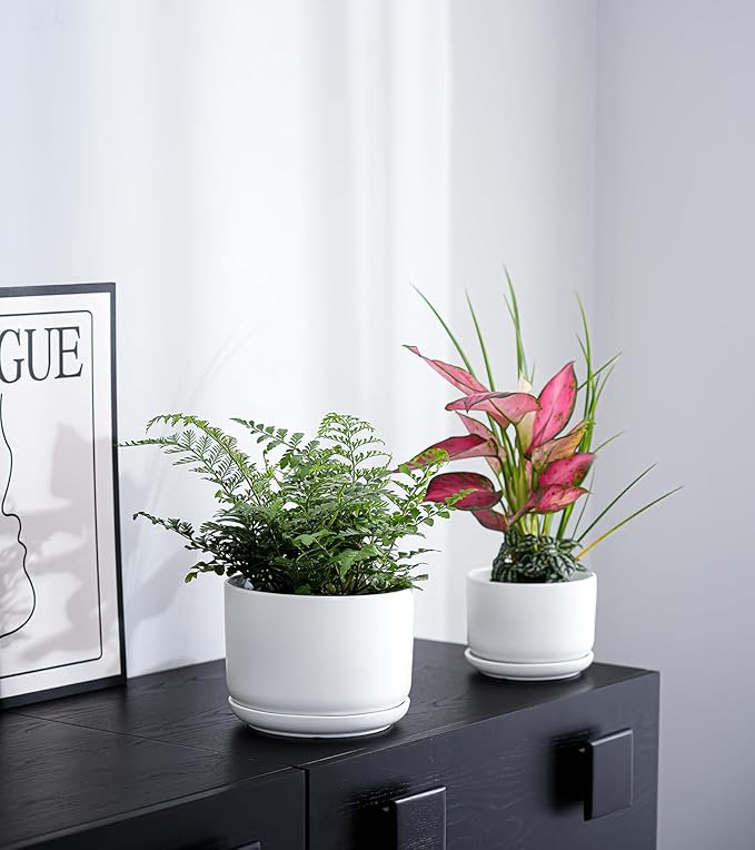 Ton Sin Plant Pots, 4.1+5.1+6.5 inch, Set of 3, Ceramic Planters with Drainage Hole and Saucer, Indoor Flower Pot Gifts for Mom（Matte Black）