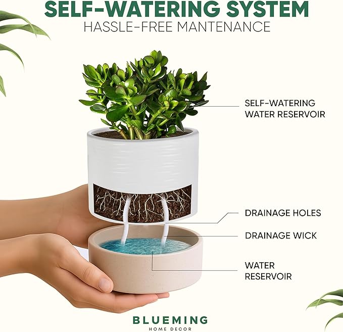 Ceramic Self Watering Plant Pots – 6 Inch White Planter with Drainage Hole & Water Storage for Succulents & Modern Indoor House Plants (White & Beige, 6" Wide)