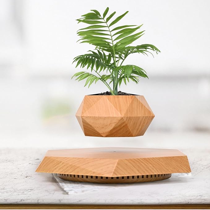 Levitating Plant Pot, Magnetic Levitation Flower Pot Suspension Floating Plant Succulents, Air Bonsai Potted Plant for Home Decoration, Living Room, Office, Desk (Wood)