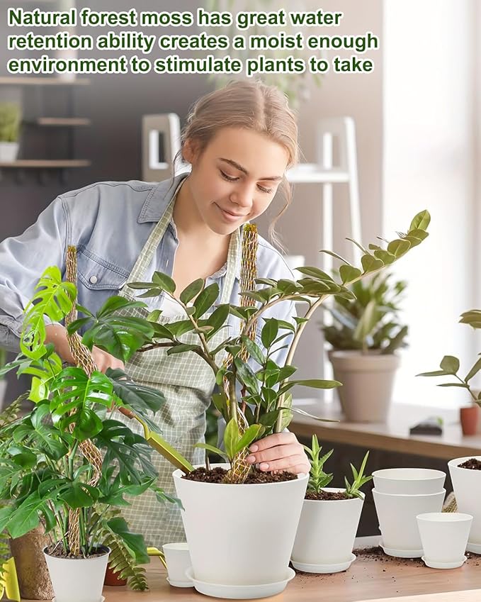 Moss Pole 2 Pack 30inch Moss Pole Monstera Plant Support Bendable Moss Pole for Plants Tall Plant Moss Pole,Moss Pole for Plants Indoor,Monstera Moss Pole